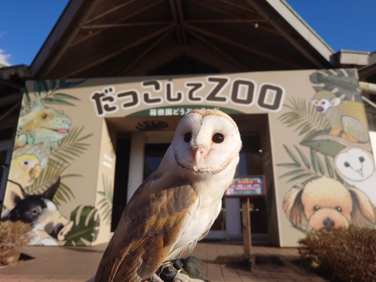 箱根園どうぶつランド　だっこして！ZOO！