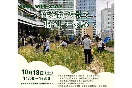 【NEW】【10/18(土）稲刈りイベント＠竹芝】当日、野菜の収穫体験も開催いたします♪